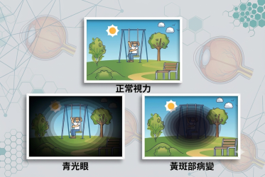 slider image 2